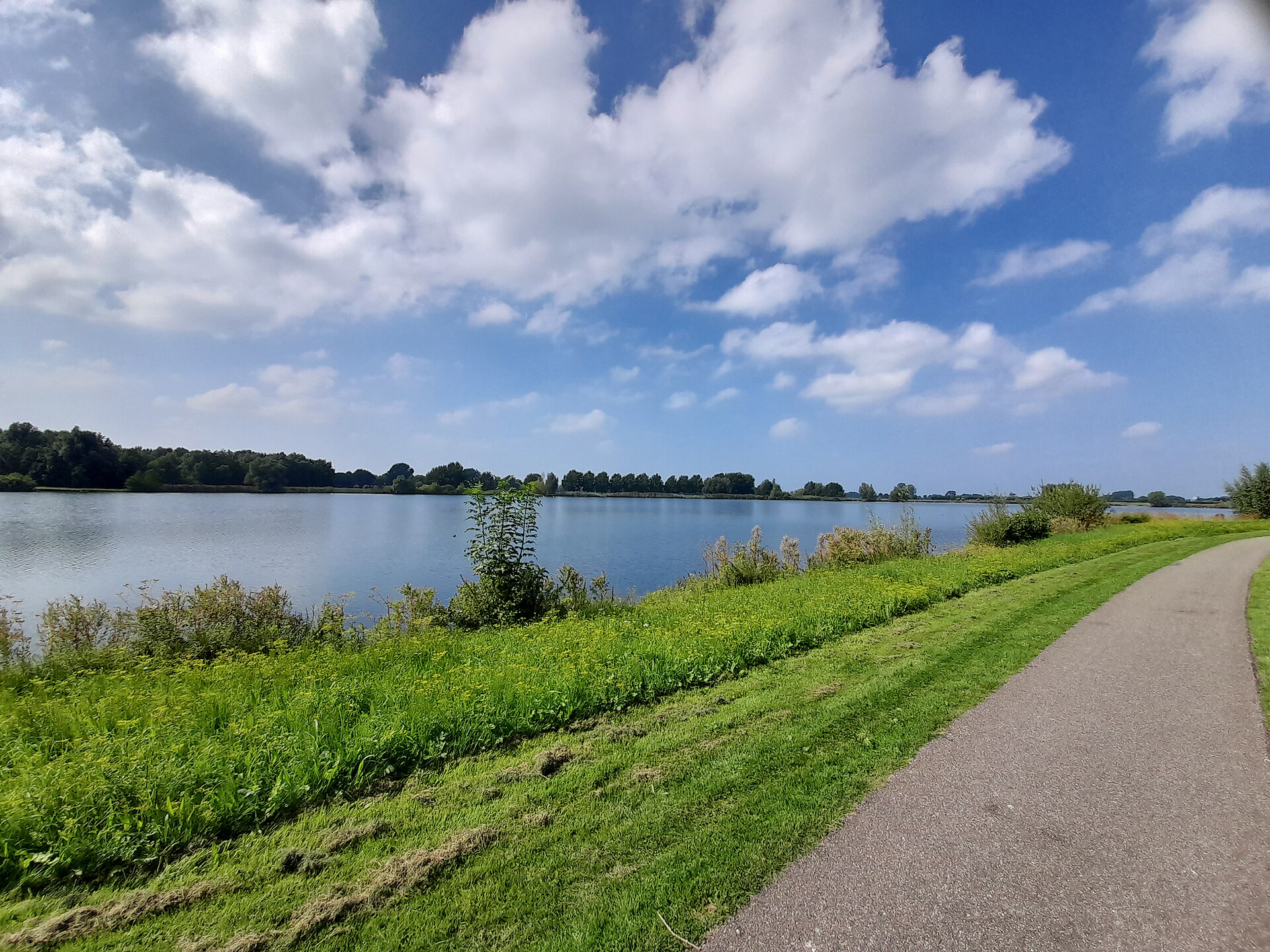 Wandelpad langs de Nedereindse Plas
